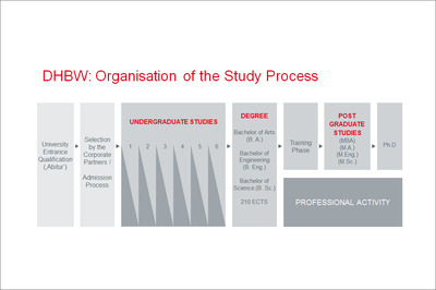 Organisation of the Study Process