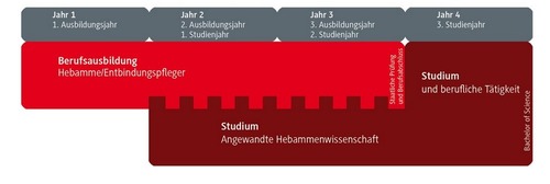 Zeitplan des Studienverlaufs Angewandte Hebammenwissenschaft - Hebammenkunde