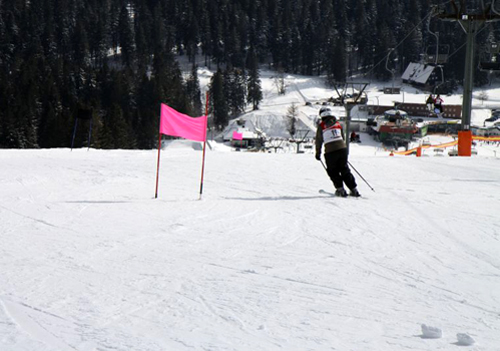 Skifahrer beim Abfahrtsrennen