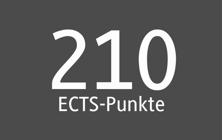 Grafik 210 ECTS-Punkte